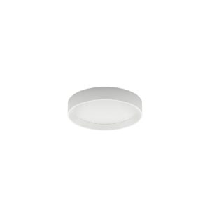Tara_R_01 Tara_R_01